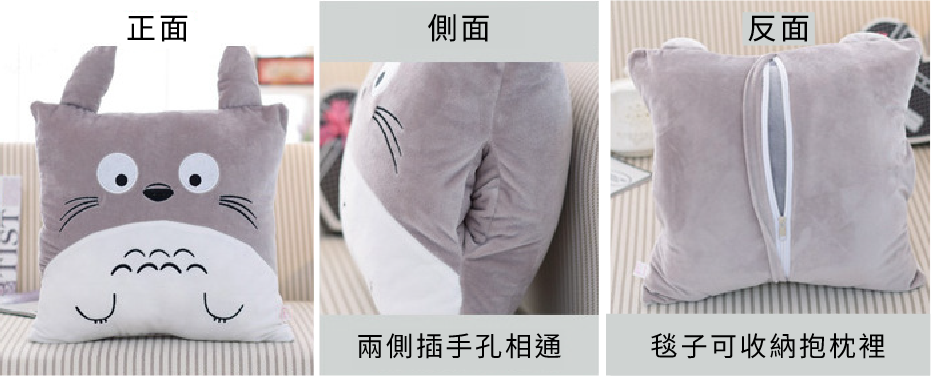 正面 側面 反面 說明圖